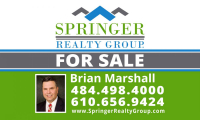 SPRINGER REALTY GROUP Limerick